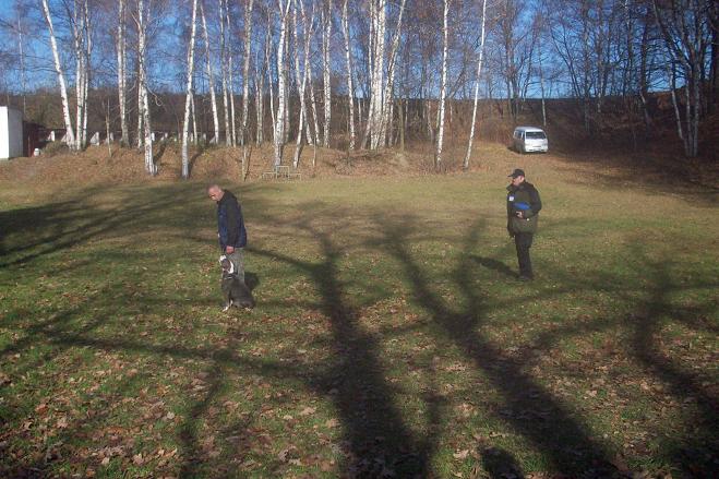 100_6254.jpg