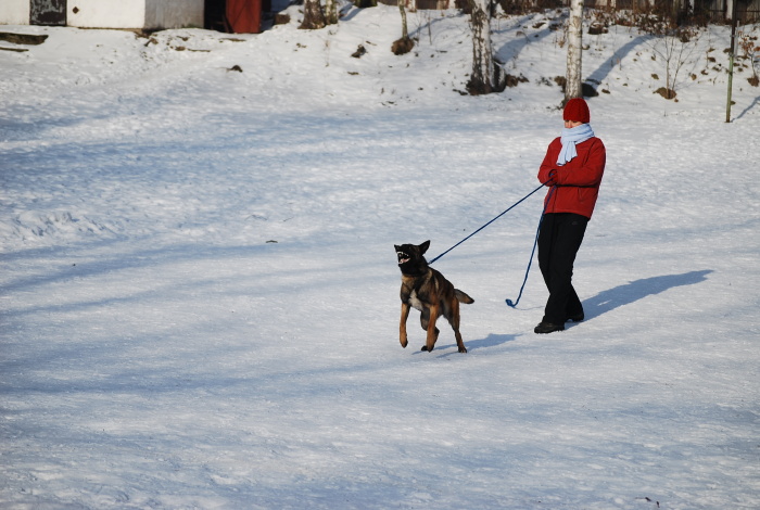 DSC_0212.JPG