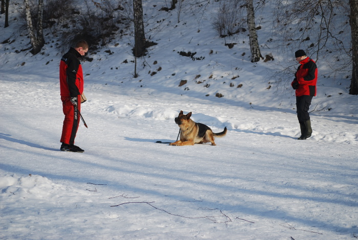 DSC_0234.JPG