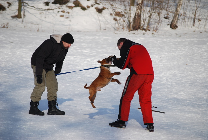 DSC_0269.JPG
