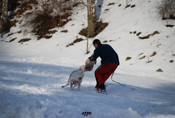 DSC_0225.JPG