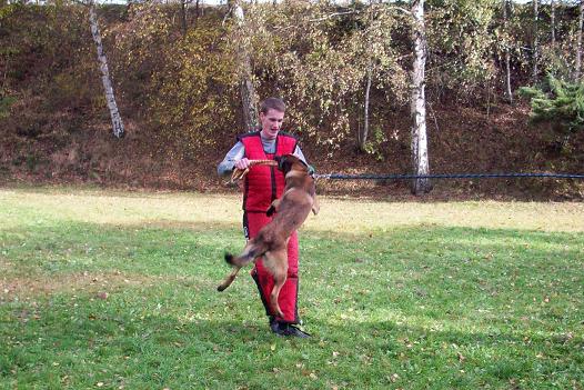 100_6034.jpg