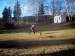 100_6587.jpg