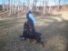 100_6652.jpg