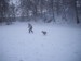 100_6722.jpg