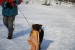 DSC_0211.JPG