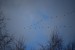 DSC_0302.JPG