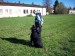 100_9234.jpg