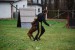 DSC_0073.JPG